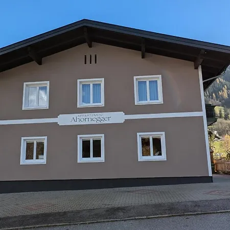 Ahornegger アパート